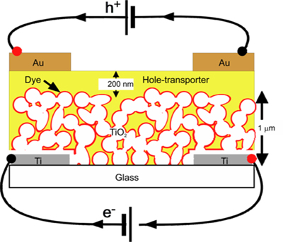 Schematic diagram of dye-sensitized solar cell Schematic diagram of dye-sensitized solar cell